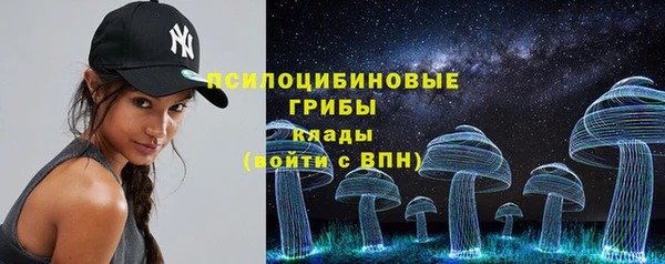 сатива Горно-Алтайск