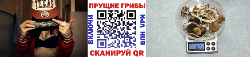 дарнет шоп  Азов  Галлюциногенные грибы мухоморы 